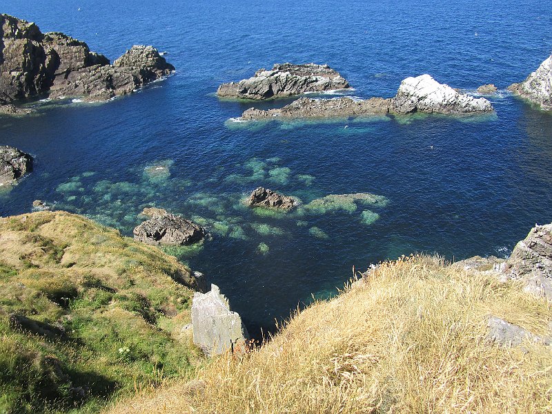 2018.06.30 Schottland Lossiemouth (1309).JPG